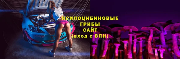 СК Абинск