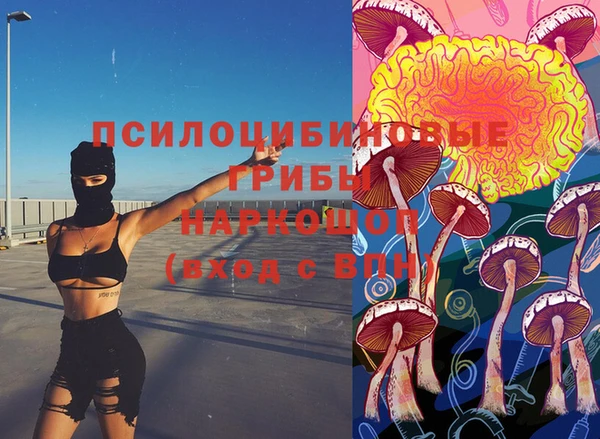 СК Абинск