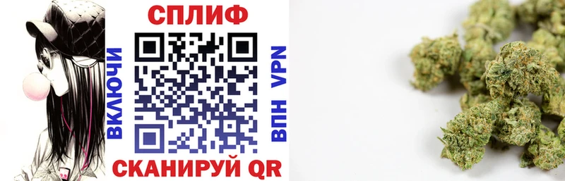 Бошки Шишки семена  Весьегонск 